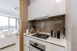 Skyline Residences (D4), Condominium #607296931
